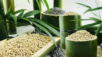 Bamboo cat litter