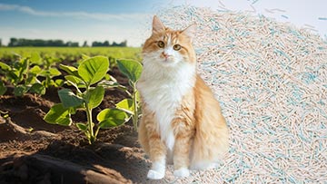 TOFU CAT LITTER